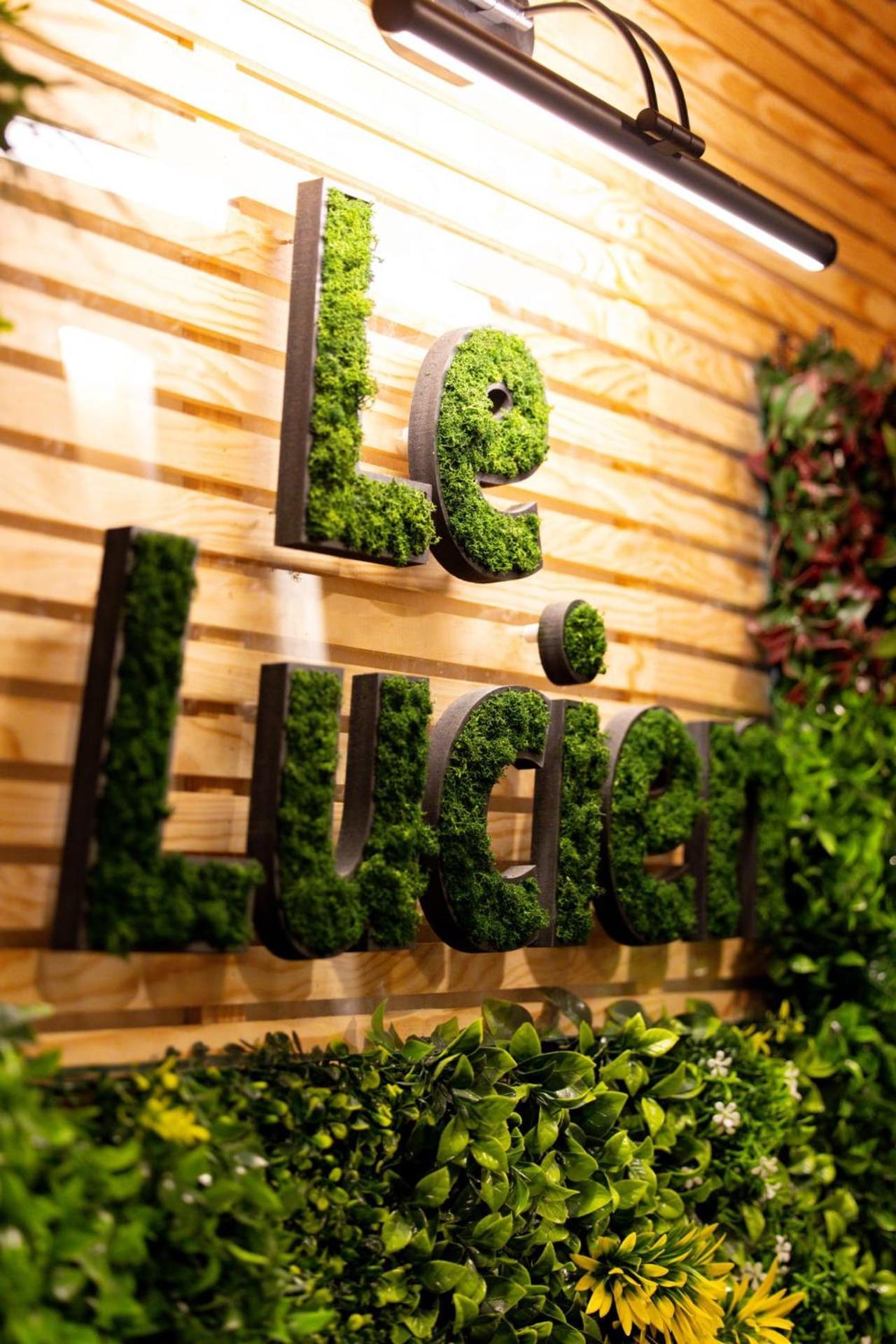 Le Lucien Eco-Appart'Hotel - Angouleme - Centre - Wifi - Parking Prive - Classe 4 Etoiles Εξωτερικό φωτογραφία